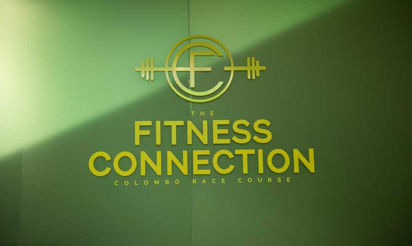 Fitness The Fitness Connection